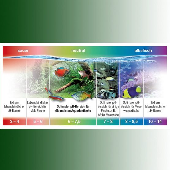 JBL pH-Plus 250 ml, Water conditioner to increase the pH value in fresh and saltwater aquariums - Image 3