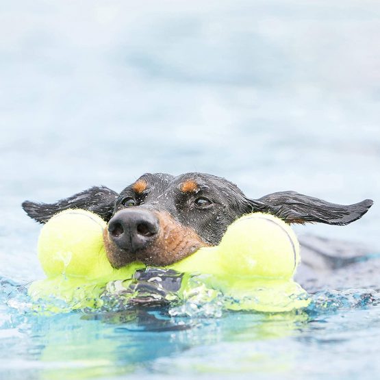 KONG - AirDog Squeaker Bone - Squeaky Bounce and Fetch Toy, Tennis Ball Material - For Medium Dogs - Image 2