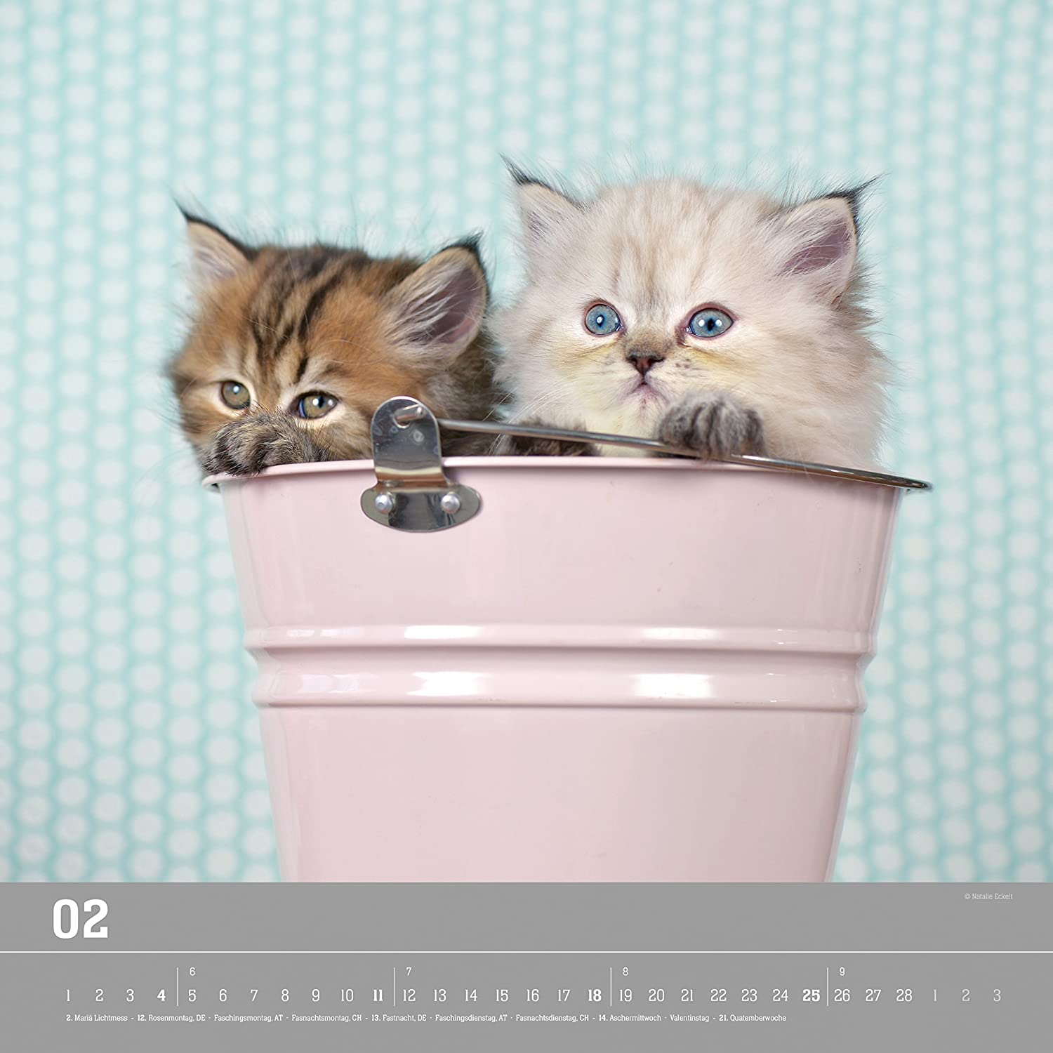 Wall Calendar"Kittens 2018 33 x 33 cm - Image 3