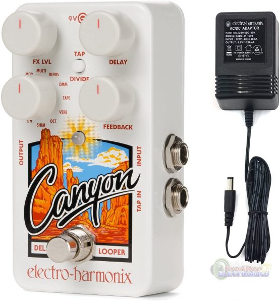 Electro Harmonix Canyon Delay and Looper