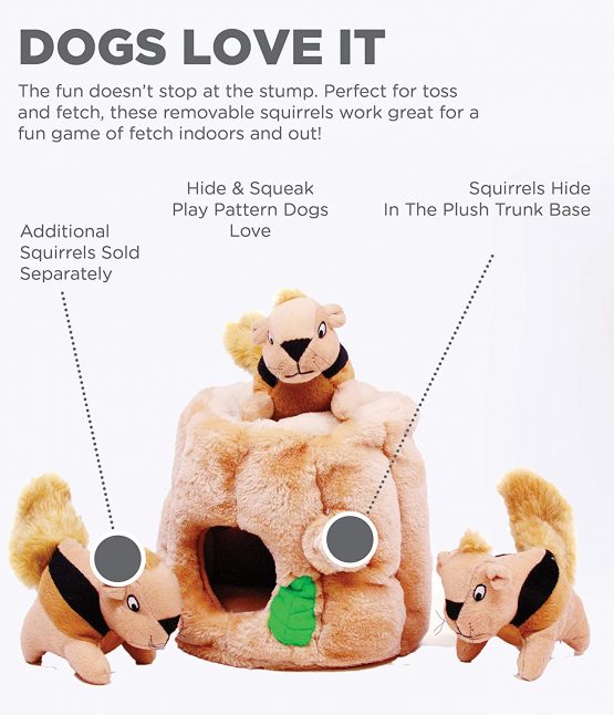Outward Hound Hide A Squirrel Plush Dog Toy Puzzle, Large - Image 4