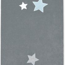 Bemini Cover Pillow (Stary, Pingu)