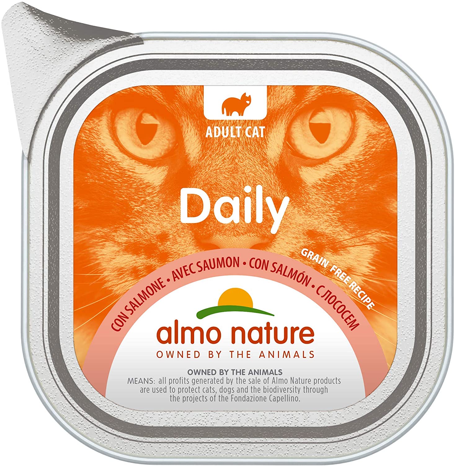 almo nature Daily - Wet Cat Food for Adult Cats - Salmon - 100 g, Pack of 32