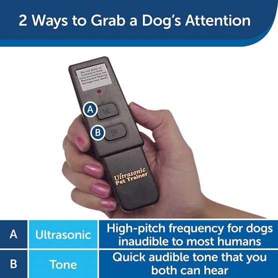 PetSafe, Collarless Ultrasonic Remote Trainer, Two Tone, Safe, Anti Bark - Image 3