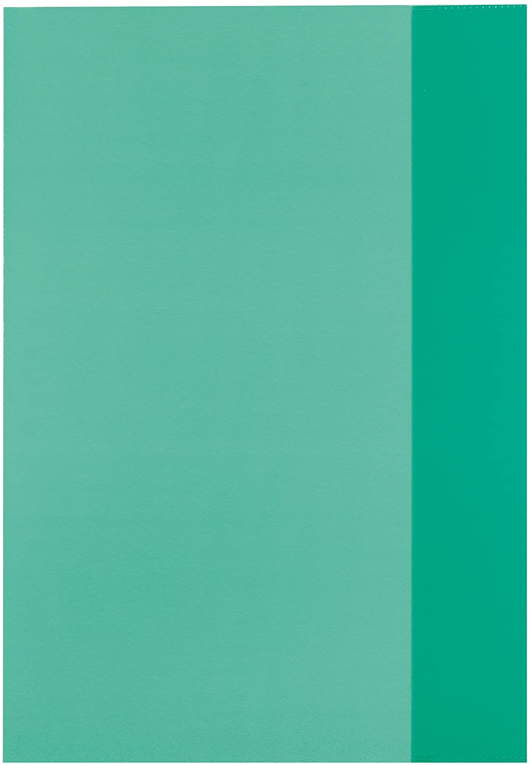 Herlitz 5214051 A4 Din Grainy 90 My Exercise Book Cover - Transparent Green