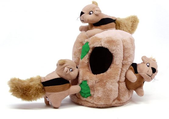 Outward Hound Hide A Squirrel Plush Dog Toy Puzzle, Large