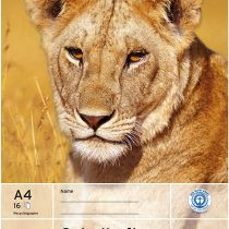 Herlitz 3352705 Exercise Book, DIN A5, line Style 1/Lined