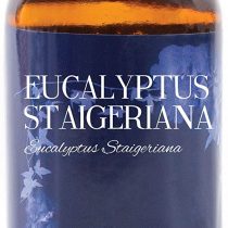 Mystic Moments | Eucalyptus Staigeriana Essential Oil - 100ml - 100% Pure