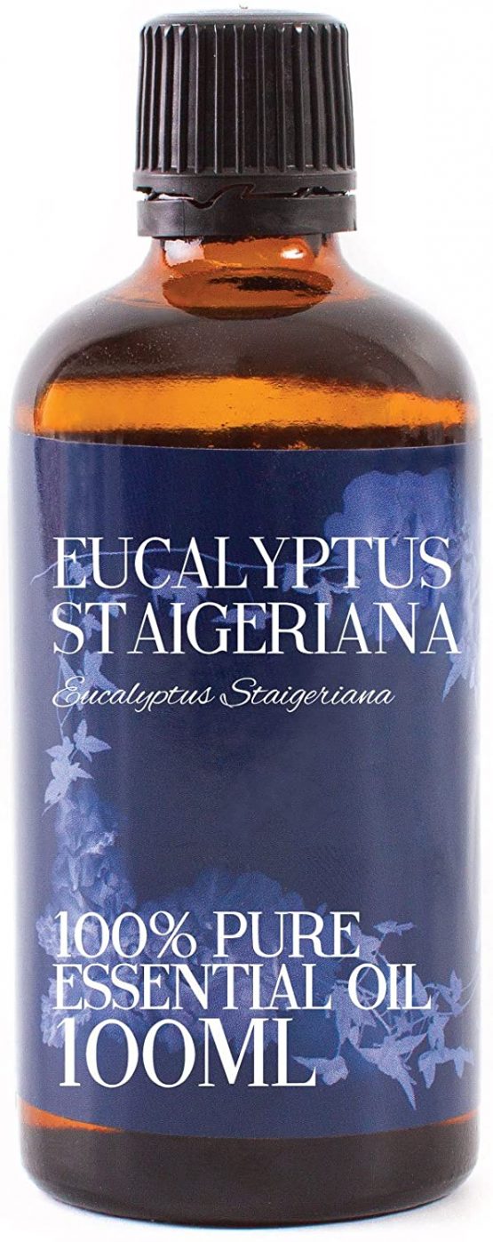 Mystic Moments | Eucalyptus Staigeriana Essential Oil - 100ml - 100% Pure