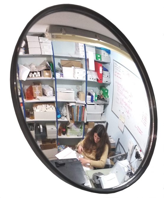 SNS SAFETY LTD Convex Traffic Safety Mirror for Driveways, Warehouses, Garages and Offices, Black (Diameter 22 cm, with Wall Bracket) - Image 4