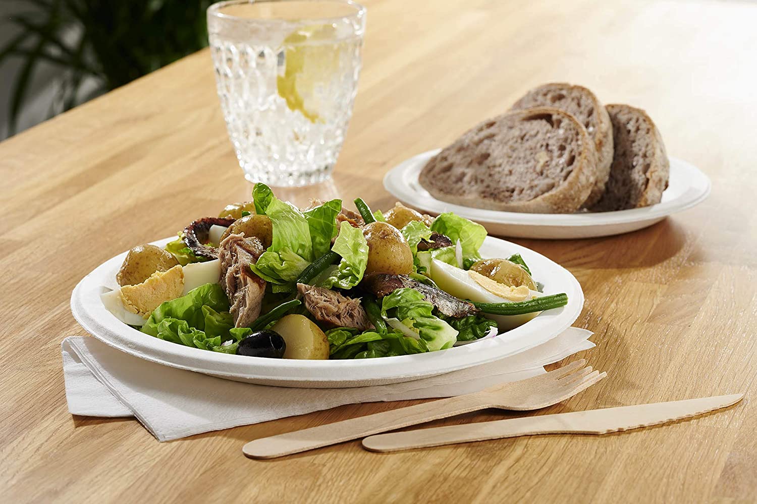 Caterpack Enviro Range Plates 23cm, 50 Pack Super Rigid 100% Biodegradable Plates, Naturally compostable, Eco-Friendly - Image 2
