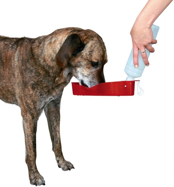 Trixie Plastic Bottle with Bowl, 250 ml - Image 3
