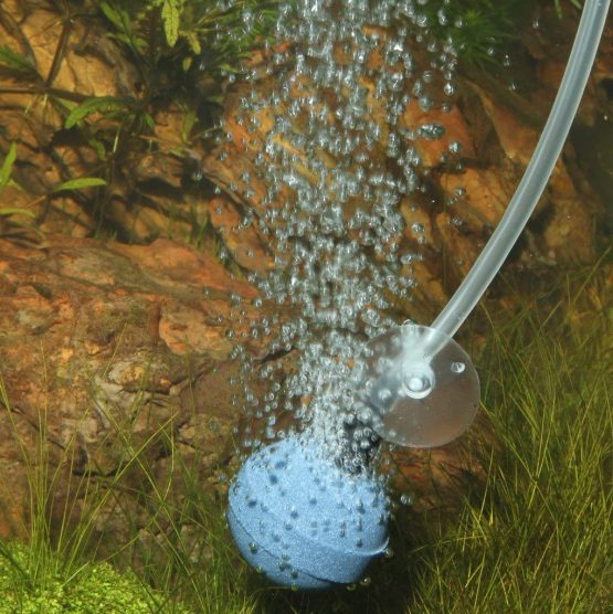 JBL Aeras Micro Ball L, Air stone 40 mm in diameter for fine air bubbles - Image 3
