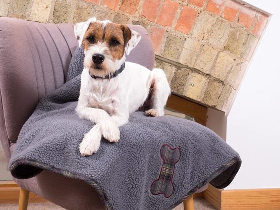 Petface Tweed Comforter Blanket for Dogs, Grey - Image 2