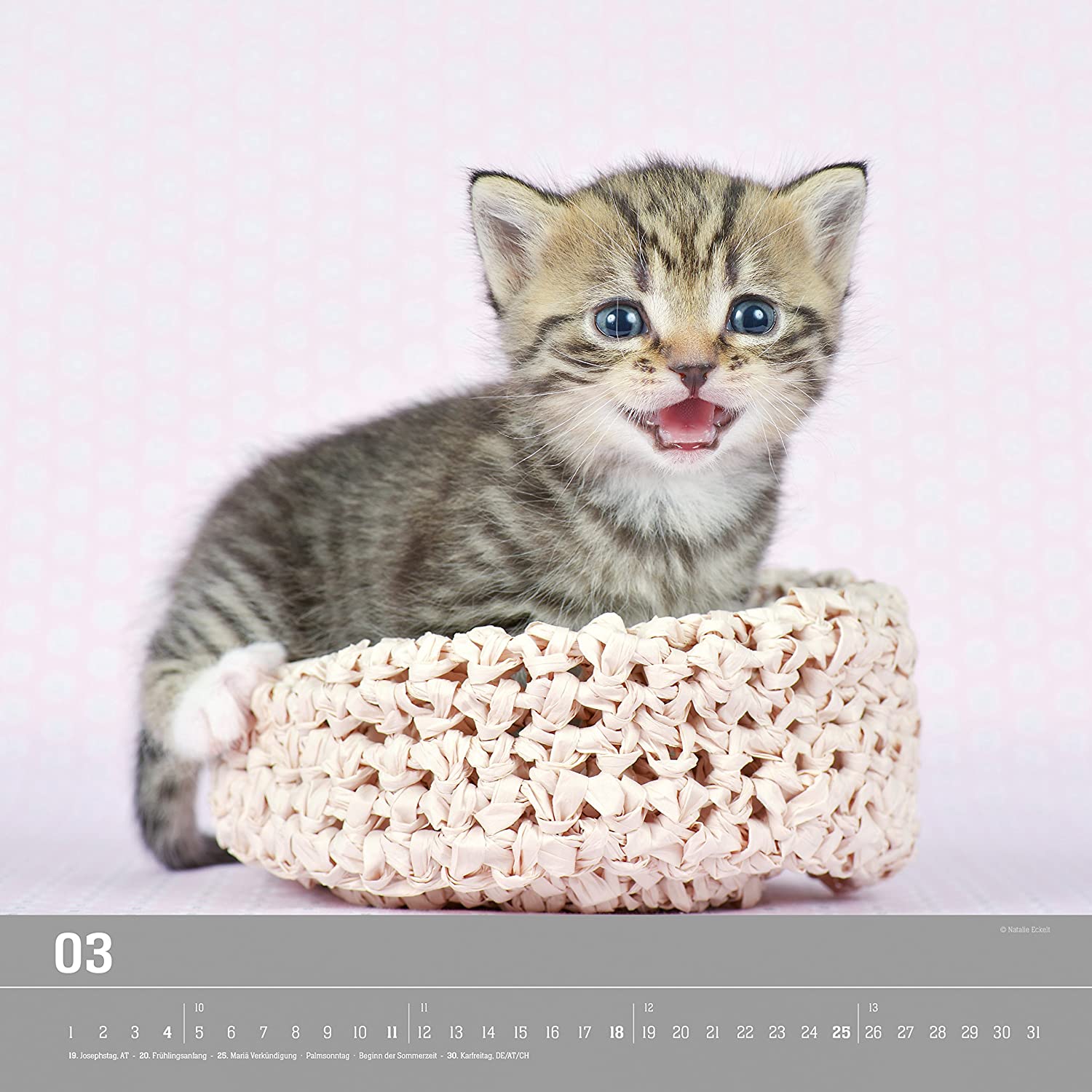 Wall Calendar"Kittens 2018 33 x 33 cm - Image 4