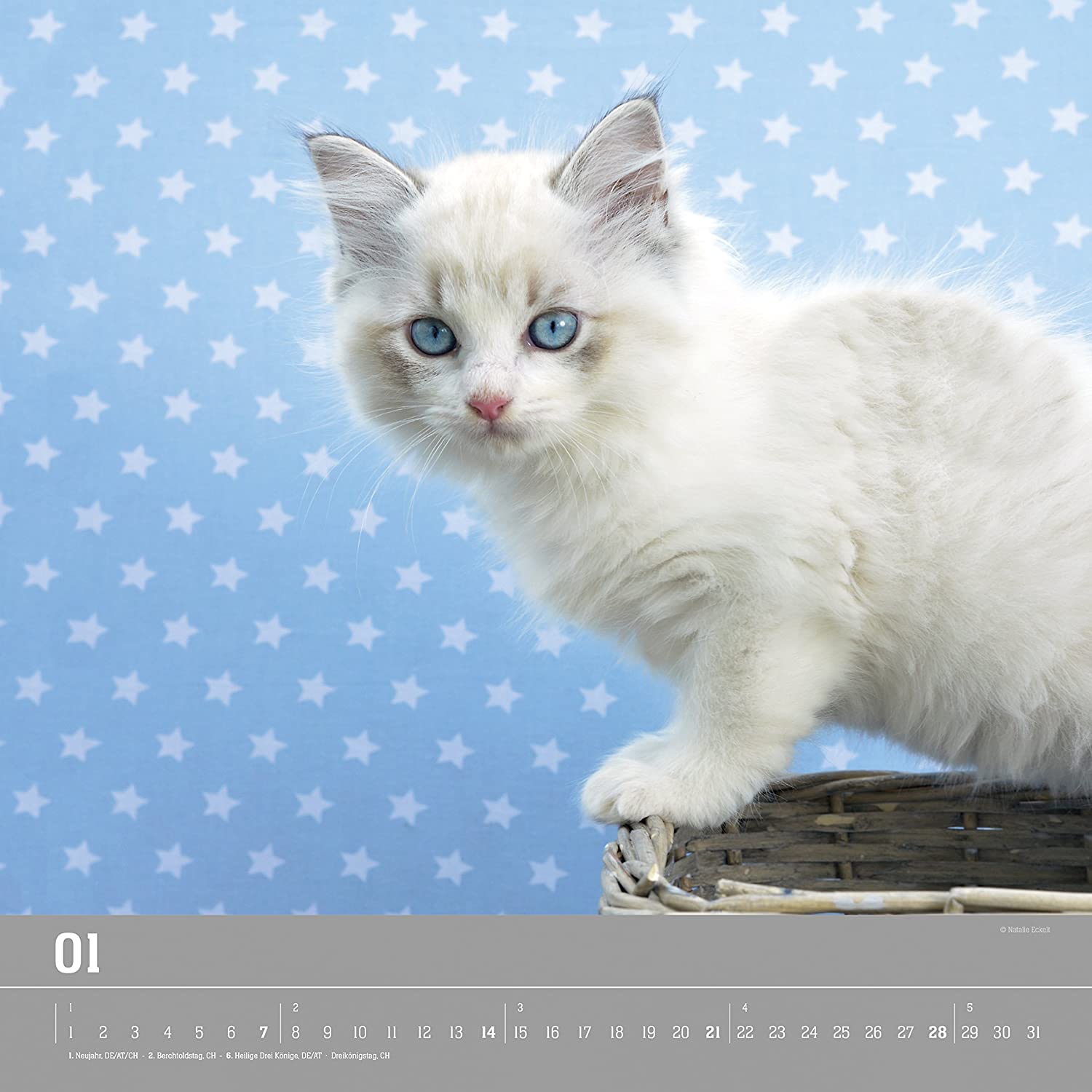 Wall Calendar"Kittens 2018 33 x 33 cm - Image 2