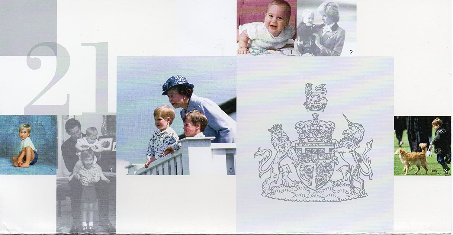 Prince William's 21st Birthday Stamps - Presentation Pack, Small - Image 3