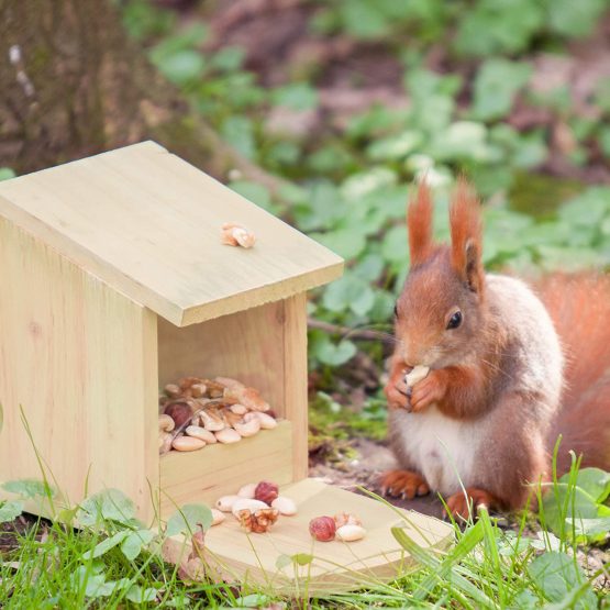 Relaxdays Squirrel Feeder for Placing, Wood, Weather-Resistant, HxWxD: ca 17.5 x 12 x 25 cm, Natural, Green, 25 x 12 x 17.5 cm - Image 2