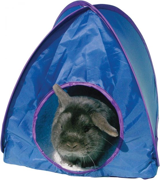 Rosewood Small Animal Activity Toy Pop-Up Tent Boredom Breaker, Assorted colors / Large