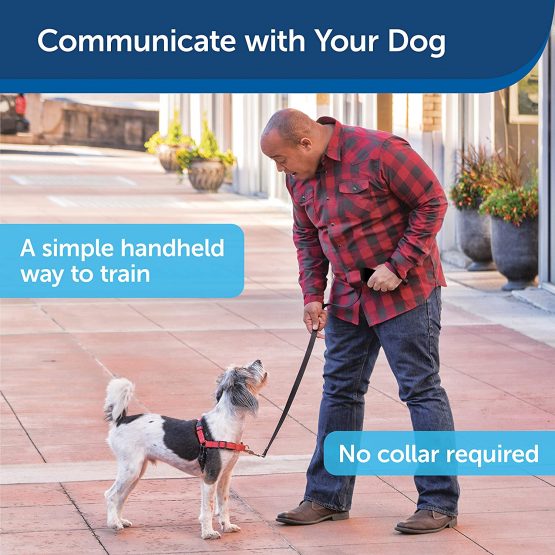 PetSafe, Collarless Ultrasonic Remote Trainer, Two Tone, Safe, Anti Bark - Image 2