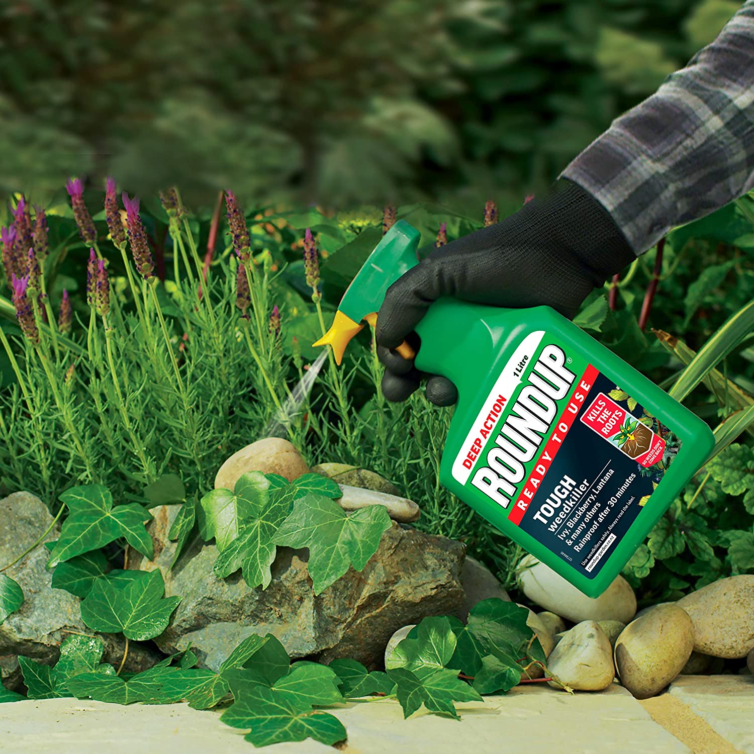 Roundup Tough Weedkiller, Ready to Use, Spray, 1 Litre - Image 2