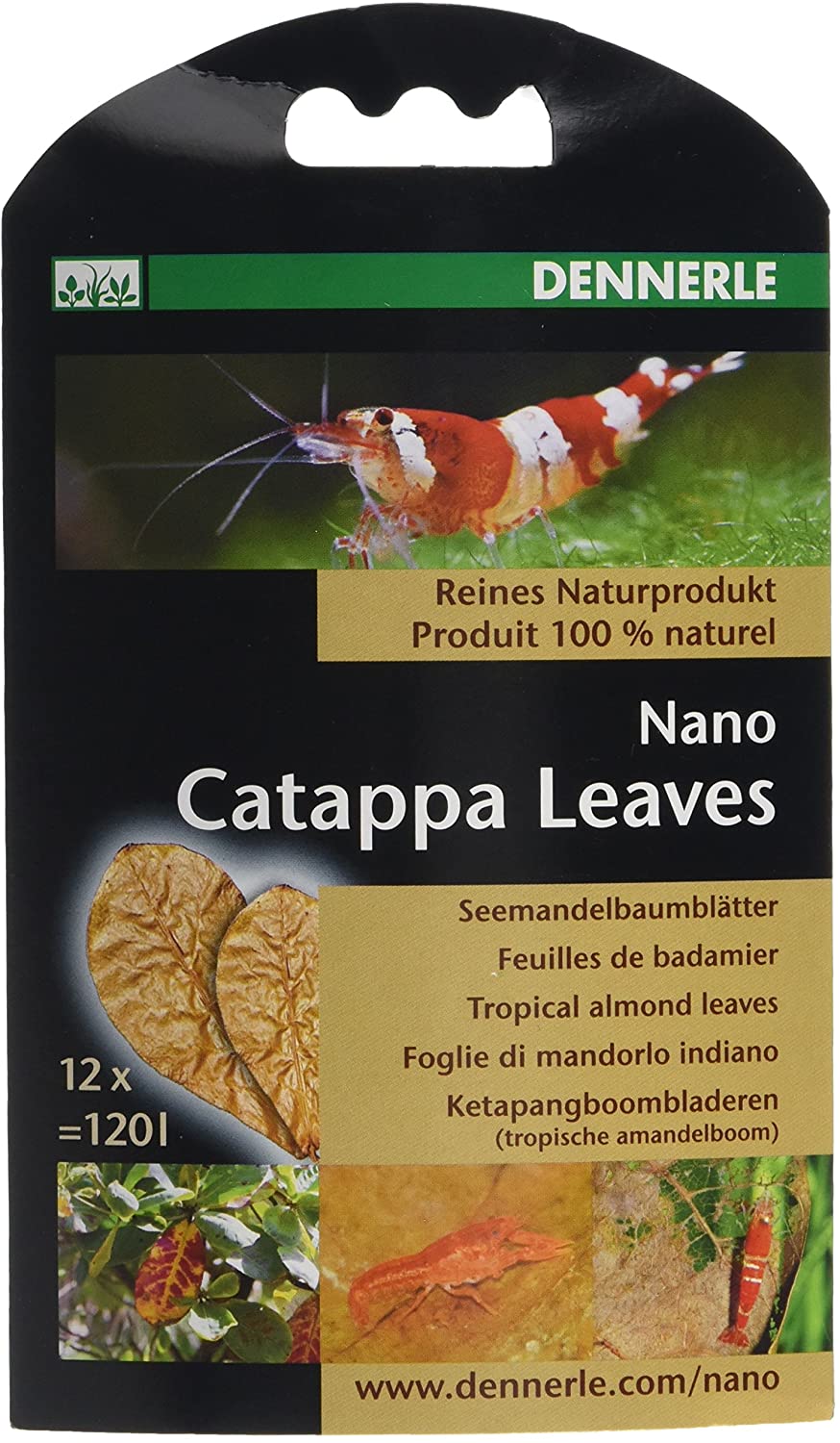Dennerle Nano Catappa Leaves, 12 count (Pack of 1)