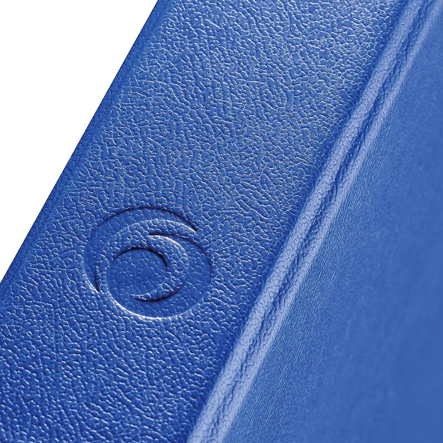 Herlitz max. File Protect A4 2 Ring Mechanism 25 mm Filling Height - Blue - Pack of 1 Blue - Image 2