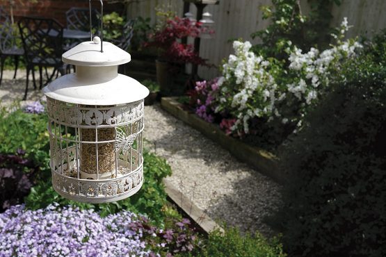 Rosewood CLASSIC BUTTERFLY SEED FEEDER - Image 2