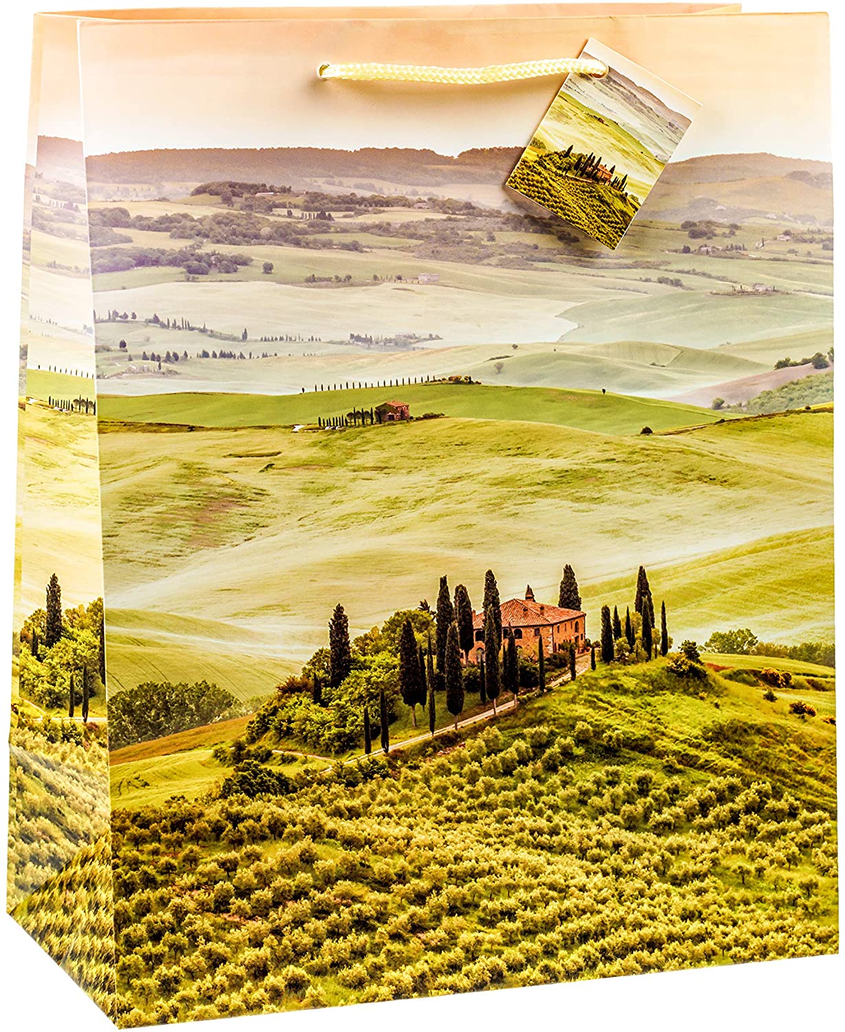 TSI 82310 gift bags Tuscany & Venice, Pack of 12, size: large (12,5 x 10 x 5,5 inch), Motiv Toskana & Venedig, 1 stück (12er Pack) - Image 3