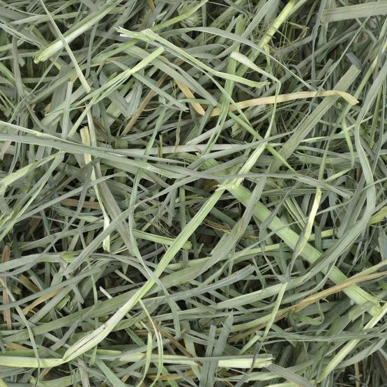 Petlife Oxbow Orchard Grass Hay for Small Pet, 1.13 kg - Image 3