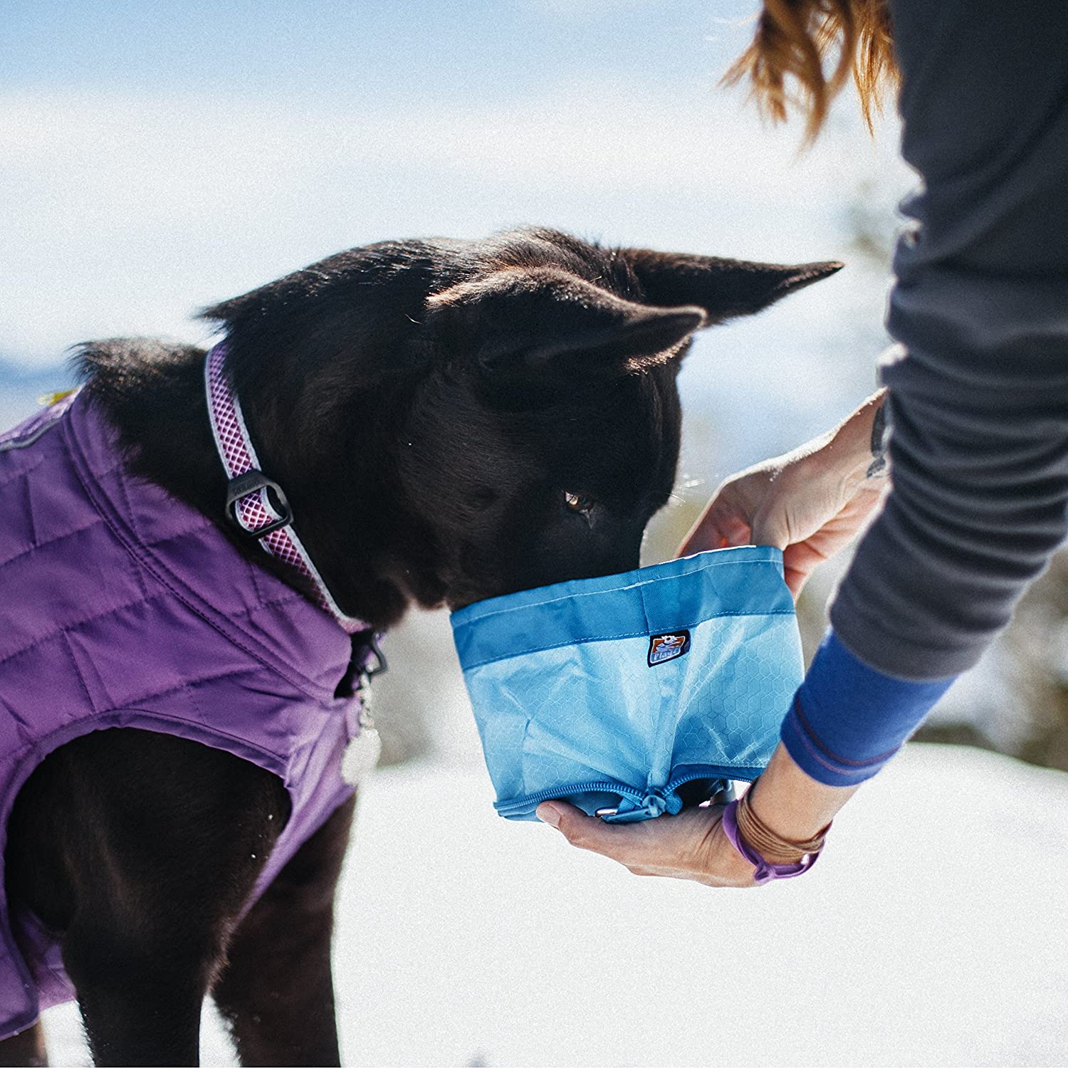 Kurgo Zippy Bowl, Collapsible Travel Dog Bowl for Food and Water with Carabiner BPA free, Holds 1.4L, Coastal Blue - Image 4