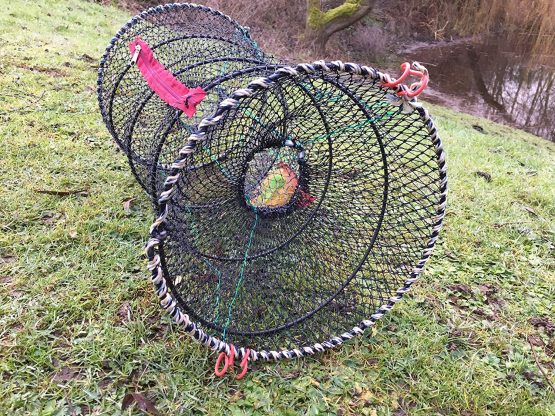 Fishkit Ltd UK legal, Collapsible mesh crayfish trap - Image 2