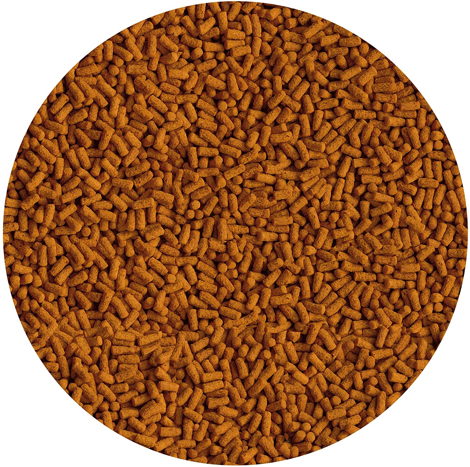 Tetra Koi Pond Fish Food Colour & Growth Sticks 1.2kg - biologically balanced for larger koi fish, 1.2 kg (Pack of 1) - Image 4