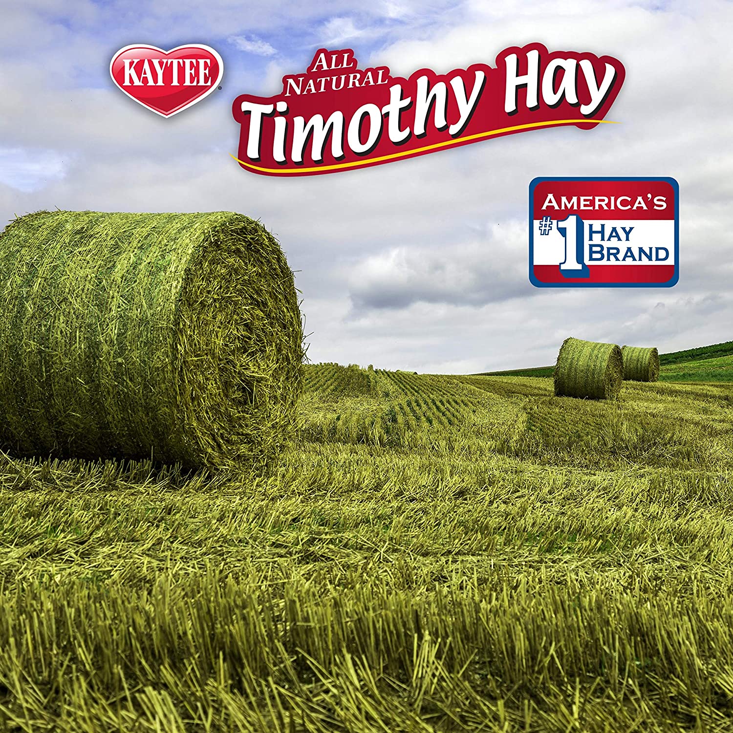 Kaytee Natural Timothy Hay Cubes High Fibre Food, 453.6 g, Green, 453.6 g (Pack of 1) - Image 2