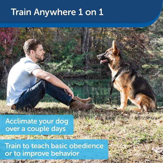 PetSafe, Collarless Ultrasonic Remote Trainer, Two Tone, Safe, Anti Bark - Image 4