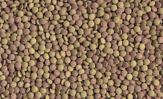 TETRA TABI MIN 275 Tabletten 85814 - Image 2