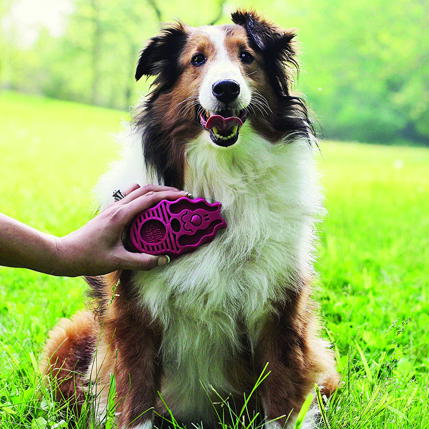 KONG - ZoomGroom - Dog Brush for Grooming and Shampooing - For Large Dogs (Blue) - Image 2