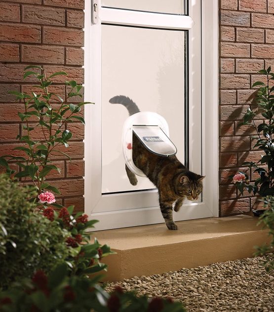 PetSafe Staywell Big Cat/Small Dog Pet Door - Image 3