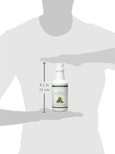 Liquid Chlorophyll with Natural Spearmint oil (476 ml), 476 ml (Pack of 1) - Image 3
