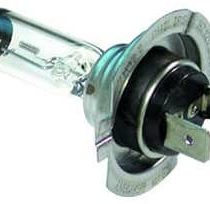H7 499 Car Headlight Bulb H7 12V 55w