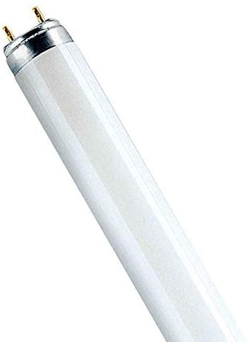 Osram 16 Watt Lumilux T8 Fluorescent Lamp Sockets, White - Image 3