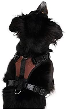 Kerbl Pulsive Dog Harness, 62/85 cm x 72/96 cm, Brown - Image 4