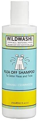 WildWash Buzz Off Shampoo 250ml - Manuka and Cedarwood for Shiny Healthy, Strong Summer Hair - Natural, Paraben-Free for Sensitive Skin