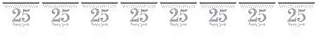 (PKT) Adult One 25th Sparkling Silver Anniversary Pennant Banner 4m, standard size