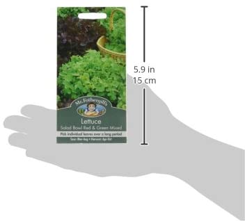 Mr Fothergill's 17329 Vegetable Seeds, Lettuce Salad Bowl Red & Green Mixed, red/Green - Image 3