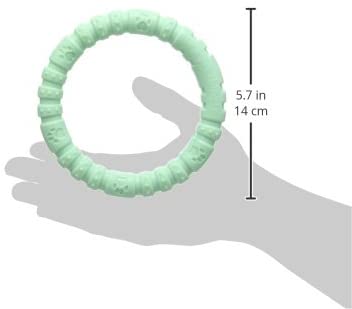 Rosewood Large Mint Ring - Durable Nylon Chew Toy for Large Dogs 20kg+, Green - Image 4