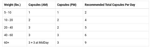 Functional Nutriments Apocaps CX Apoptogen Formula for Dogs - Image 3