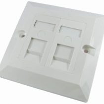 rhinocables Ethernet Faceplate Single 1-Port/Double 2-Way/Quad 4-Way RJ45 Socket Wall Plate for Ethernet Cable Networking Socket Box (Double 2-Port, CAT5e)