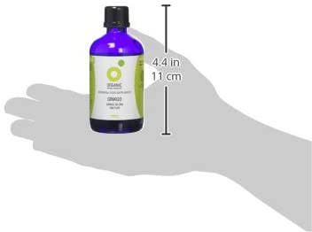 Organic Herbal Remedies 100ml Ginkgo Biloba Tincture, Blue Bottle, 100 ml (Pack of 1) - Image 4