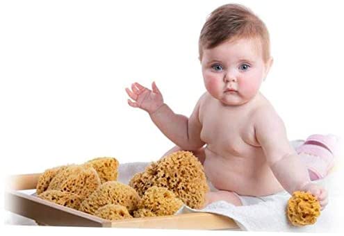 ana wiz Natural Honeycomb Sea Sponge. Soft and Absorbent- Perfect for Babies and Adults. Hypoallergenic - Image 3
